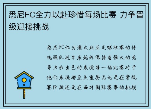 悉尼FC全力以赴珍惜每场比赛 力争晋级迎接挑战
